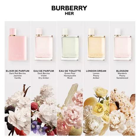 what scents are in burberry her|Burberry Her smell like.